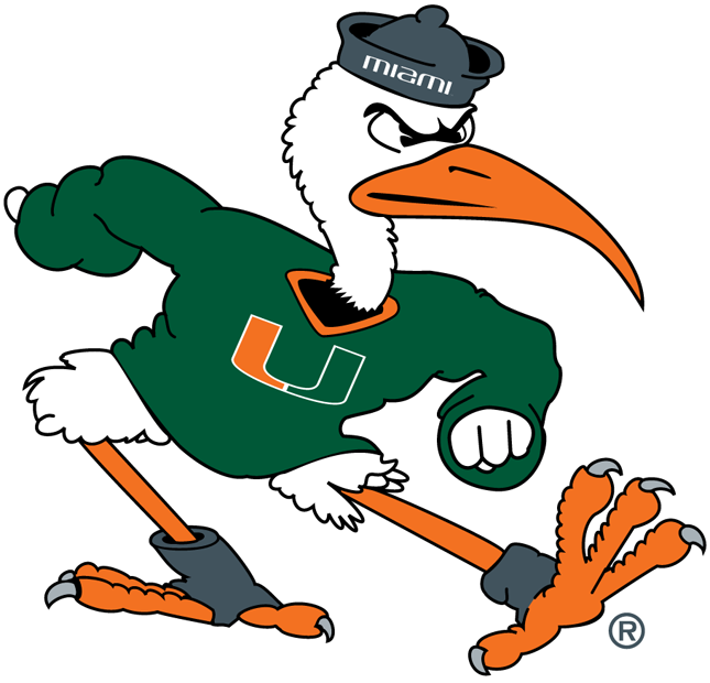 Miami Hurricanes 1983-1999 Alternate Logo diy iron on heat transfer